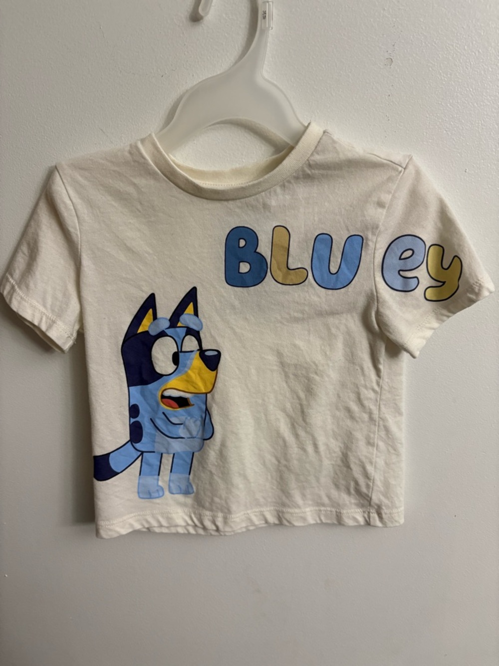 4/30$ Bluey Graphic Short Sleeve Tee in White 2 years